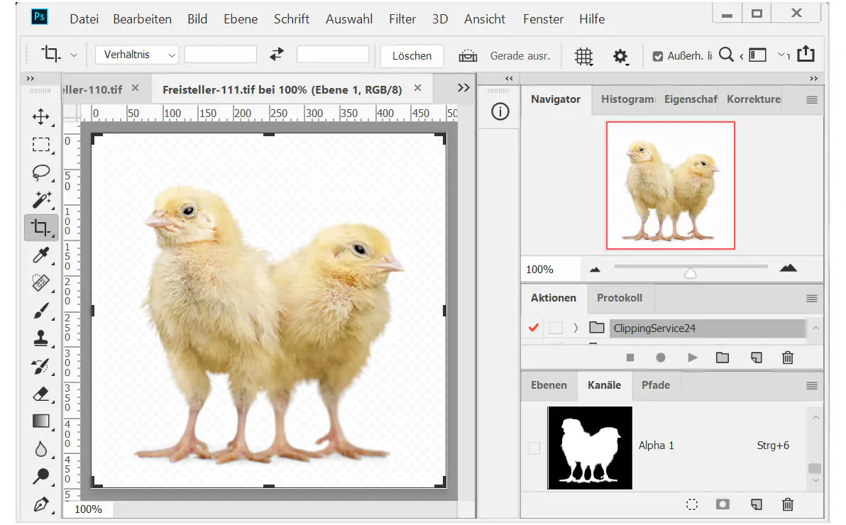 Bildhintergrund entfernen mit Alphakanal Softmasking Kücken